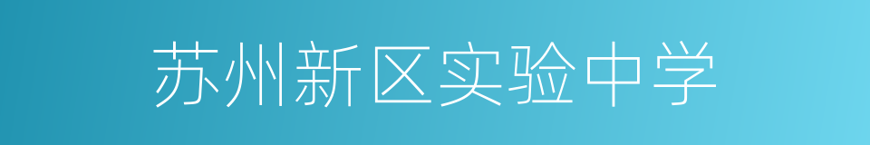 苏州新区实验中学的同义词