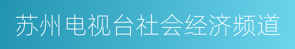 苏州电视台社会经济频道的同义词