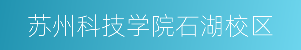 苏州科技学院石湖校区的同义词