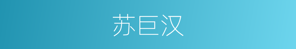 苏巨汉的同义词