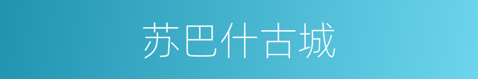 苏巴什古城的同义词
