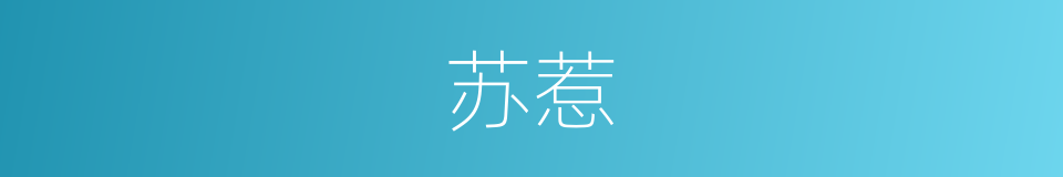 苏惹的同义词