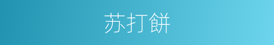 苏打餅的同義詞