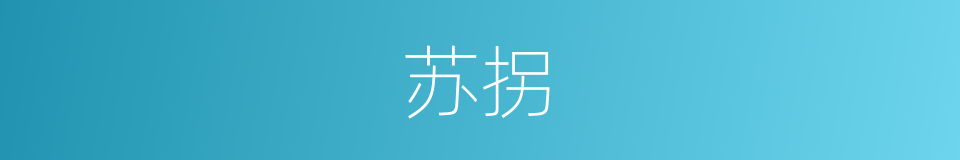 苏拐的同义词