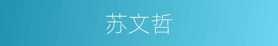 苏文哲的同义词