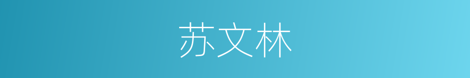 苏文林的同义词