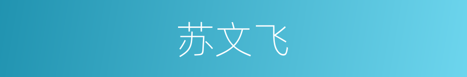 苏文飞的同义词
