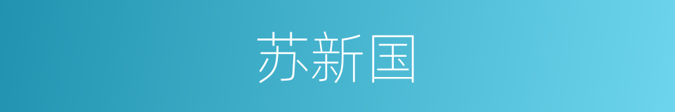 苏新国的同义词