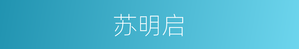 苏明启的同义词