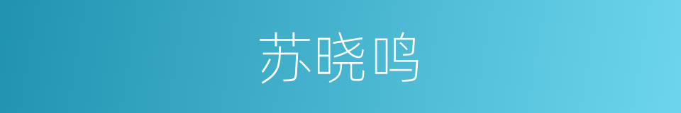 苏晓鸣的同义词
