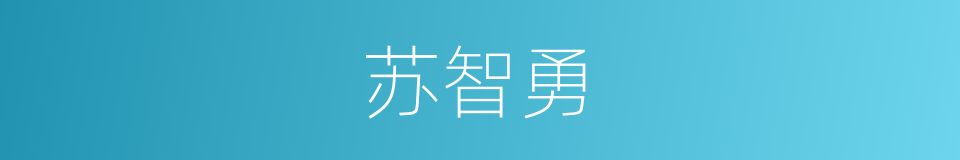 苏智勇的同义词