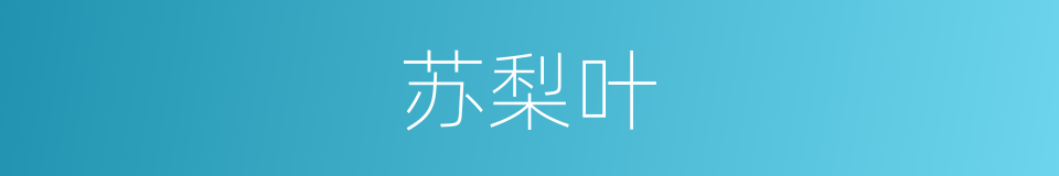 苏梨叶的同义词