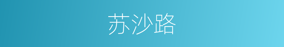 苏沙路的同义词