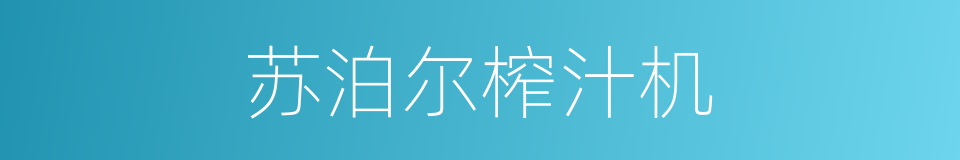 苏泊尔榨汁机的同义词