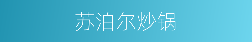 苏泊尔炒锅的同义词