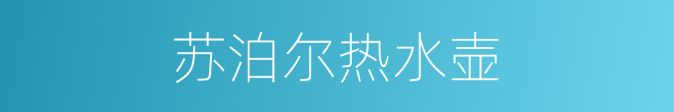 苏泊尔热水壶的同义词