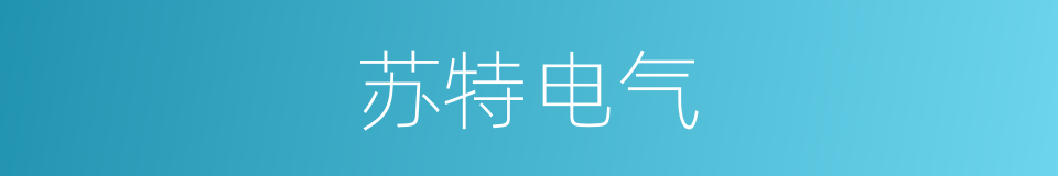 苏特电气的同义词