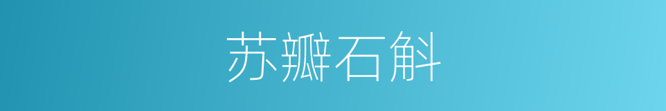 苏瓣石斛的同义词