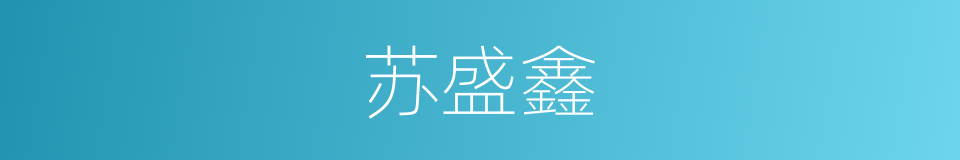 苏盛鑫的同义词