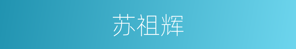 苏祖辉的同义词