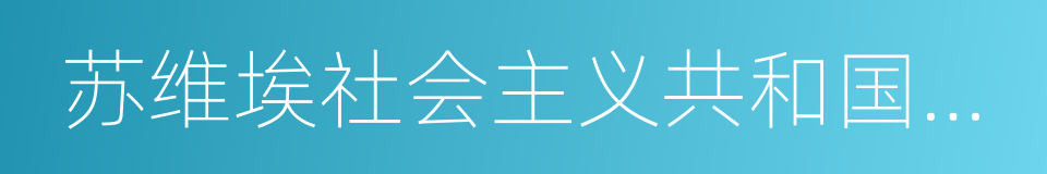 苏维埃社会主义共和国联盟的同义词