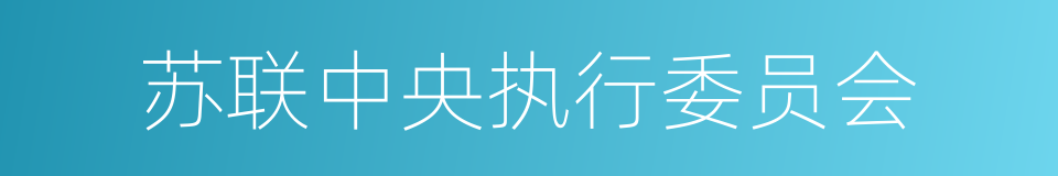 苏联中央执行委员会的同义词