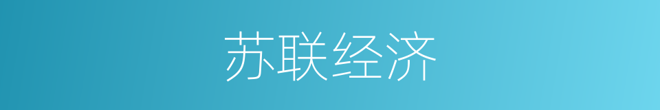 苏联经济的同义词