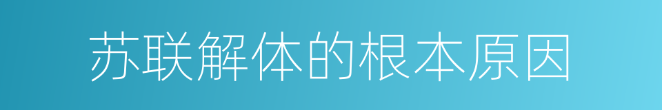 苏联解体的根本原因的同义词