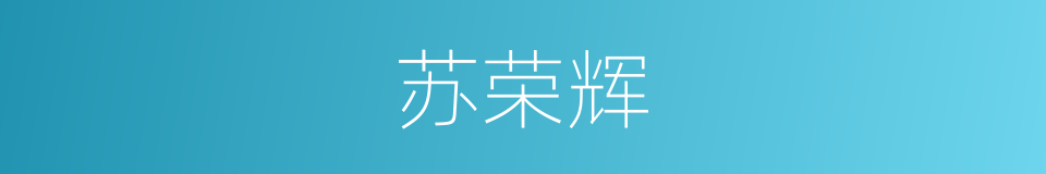 苏荣辉的同义词