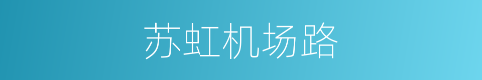 苏虹机场路的同义词