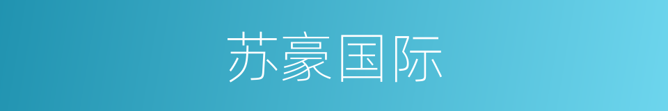 苏豪国际的同义词