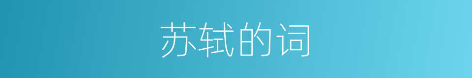 苏轼的词的同义词