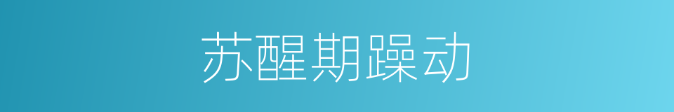 苏醒期躁动的同义词