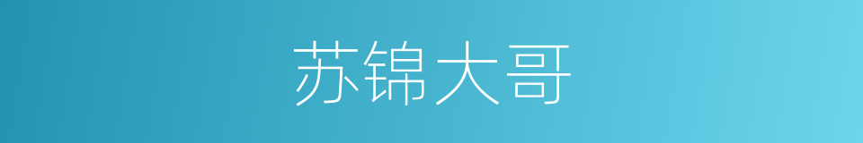 苏锦大哥的同义词