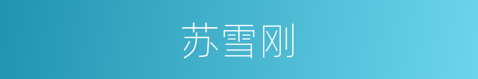 苏雪刚的同义词