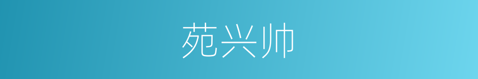 苑兴帅的同义词