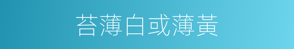 苔薄白或薄黃的同義詞