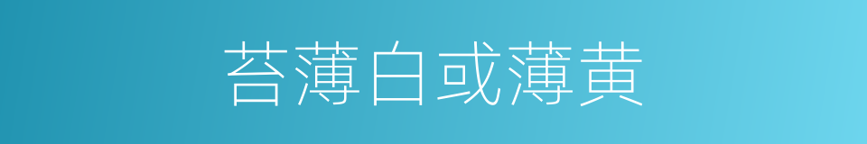 苔薄白或薄黄的同义词