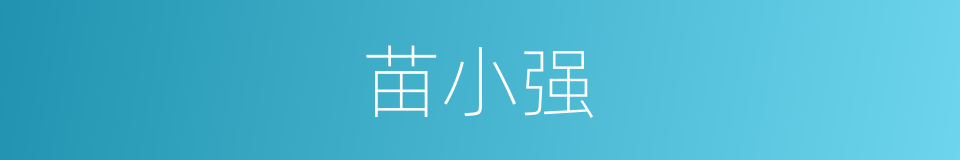 苗小强的同义词