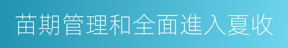 苗期管理和全面進入夏收的同義詞