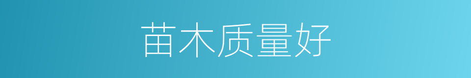 苗木质量好的同义词