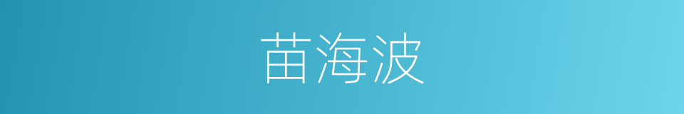 苗海波的同义词