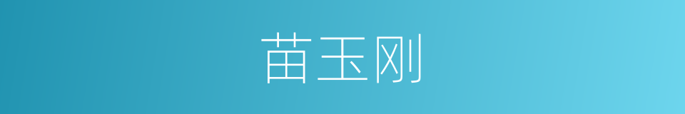 苗玉刚的同义词