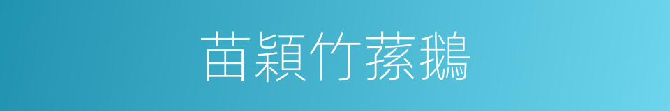 苗穎竹蓀鵝的同義詞