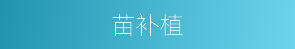 苗补植的同义词
