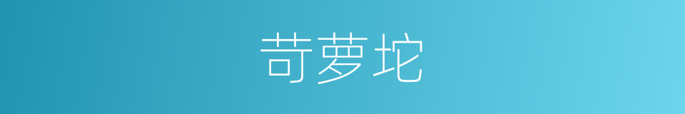 苛萝坨的同义词