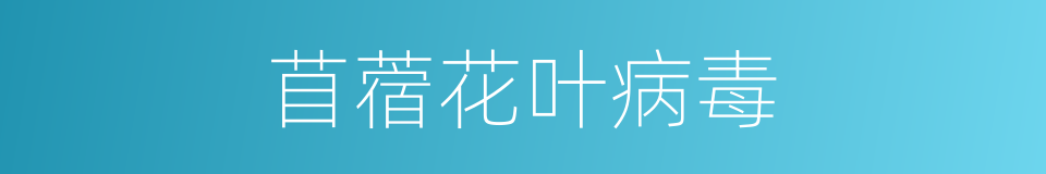 苜蓿花叶病毒的同义词