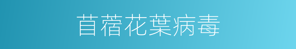 苜蓿花葉病毒的同義詞