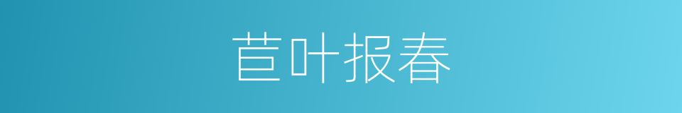 苣叶报春的同义词