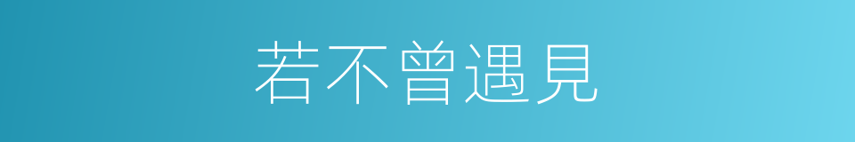 若不曾遇見的同義詞